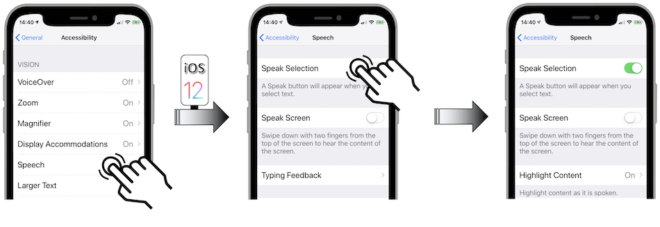 Access illustration via Settings - General - Accessibility - Speak Selection