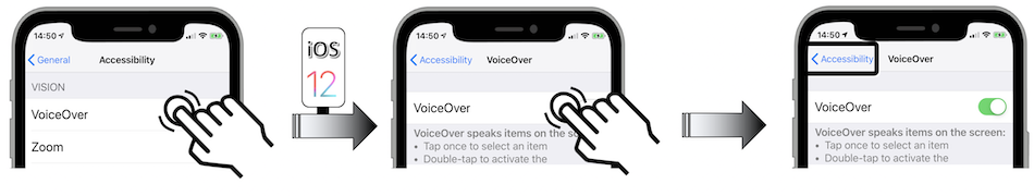 Access illustration via Settings - General - Accessibility - VoiceOver