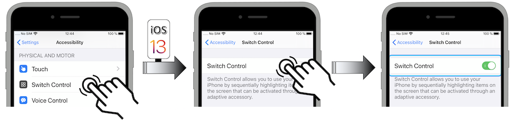 Access illustration via Settings - Accessibility - Switch Control - Switch Control