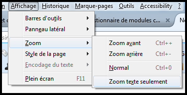 capture d’écran de l’option Zoom texte seulement dans Firefox